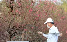 Khu du lịch Nhật Tân được công nhận khu du lịch cấp thành phố của Hà Nội