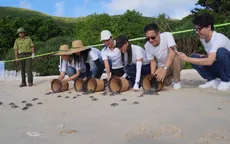 Hoa hậu Hoàn vũ Việt Nam 2022 tham gia bảo tồn rùa biển Côn Đảo