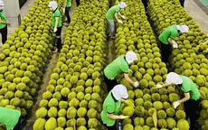 Xuất khẩu nông, lâm, thủy sản thu về gần 48 tỷ USD