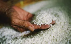 Gạo Việt vẫn giữ mức giá cao