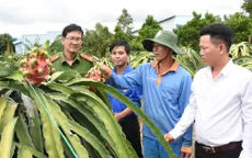 Tấm gương sáng trong việc làm lại cuộc đời sau những lầm lỡ