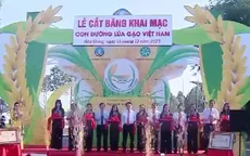 Độc đáo con đường lúa gạo Việt Nam