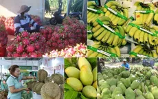 Thúc đẩy thương mại hai chiều Việt Nam và Trung Quốc