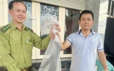 Bắt được kỳ đà quý hiếm bò trên bờ kênh ở TP Hồ Chí Minh
