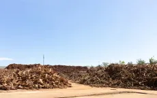 Chinh phục ngành ván gỗ công nghiệp với chuỗi sản xuất khép kín và chuyển đổi số