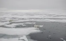 Bắc Cực trải qua mùa hè ấm nhất trong lịch sử