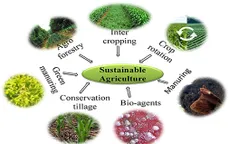 Nông nghiệp bền vững nhìn từ COP28