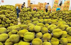 Trung Quốc tiếp tục là đối tác thương mại số 1 của Việt Nam