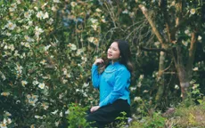 Du khách thích thú trẩy hội hoa sở ở Bình Liêu