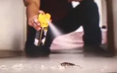 Xịt thuốc diệt gián quá tay khiến căn hộ nổ tung