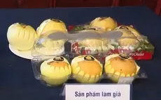 Hàng giả, hàng nhái gia tăng dịp cuối năm