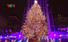 Xu hướng thuê cây thông Noel ở Anh