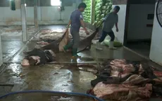 Bắt quả tang gần 4 tấn da bò bốc mùi hôi thối