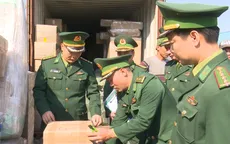 Liên tiếp bắt giữ các vụ vận chuyển hàng trái phép qua cảng Hải Phòng