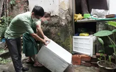 Tuần qua, Hà Nội ghi nhận 1.715 trường hợp mắc sốt xuất huyết