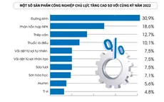 Năm 2023, giá trị tăng thêm ngành công nghiệp tăng 3,02%