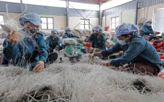 Lắng nghe thị trường, doanh nghiệp linh hoạt sản xuất hàng Tết