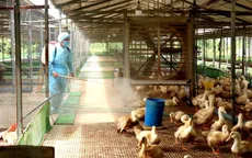 Ngăn chặn vận chuyển trái phép động vật, kiểm soát tốt dịch bệnh, bảo đảm nguồn cung thực phẩm