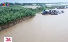 Báo động tình trạng sạt lở bờ sông Hồng