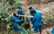 Xử lý kịp thời quả bom nặng 120kg trong vườn cao su ở Bình Phước