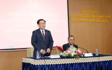 Phát huy vai trò cơ quan đại diện Việt Nam ở nước ngoài