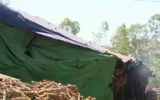 Nhiều lò than củi gây ô nhiễm môi trường ở Đắk Lắk