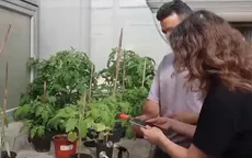 Thực vật phát ra âm thanh khi bị căng thẳng