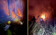 Rừng thông Đà Lạt cháy 3 ngày liên tiếp