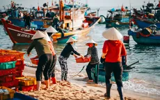 Đợi cá lúc bình minh ở làng chài Nhân Trạch