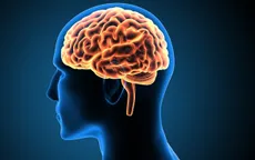 Khám phá bí mật bộ não con người với "World of Mind"