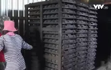 Sản xuất than sạch từ phế phẩm nông nghiệp
