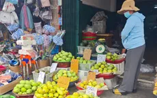 Xoài cát Hòa Lộc giá rẻ chưa từng có