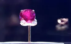Đấu giá viên hồng ngọc quý hiếm nhất thế giới