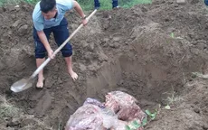 Tiêu hủy 600kg gà đông lạnh không rõ nguồn gốc xuất xứ