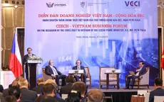 Diễn đàn doanh nghiệp Việt Nam - Cộng hòa Czech