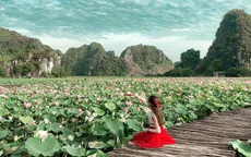 Check-in Hang Múa dịp lễ 30/4-1/5: Ngắm lúa xanh, sen sớm đầu hè