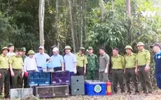 Tái thả nhiều động vật hoang dã về tự nhiên