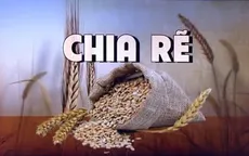 Ngũ cốc Ukraine phá giá tại thị trường Đông Âu