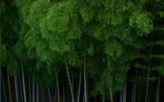 Chiến lược khí hậu & Triết lý “Zero-carbon” của doanh nghiệp công nghệ
