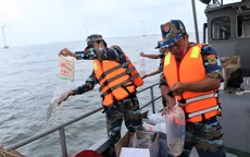 Bạc Liêu: Thả 4,2 triệu con tôm giống tái tạo nguồn lợi thủy sản
