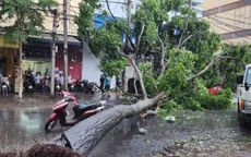Sức khỏe cô gái nguy kịch vì bị cây đè đã có dấu hiệu chuyển biến tích cực
