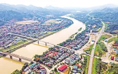 Đẩy mạnh liên kết vùng giúp doanh nghiệp tối ưu hóa chi phí