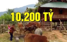 Hơn 10.200 tỷ đồng thực hiện chính sách hỗ trợ giảm nghèo