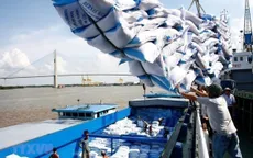 FAO: Chỉ số giá lương thực toàn cầu giảm tháng thứ 12 liên tiếp