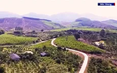 Học tập và làm theo gương Bác: Đảng viên gương mẫu đi đầu