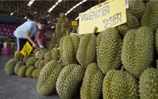 Sầu riêng Thái Lan được giá