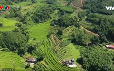 Thêm yêu Việt Nam qua loạt chương trình du lịch trên sóng VTV