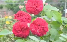Thu nhập tiền tỷ nhờ hoa hồng