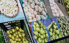 Măng cụt xanh hút hàng