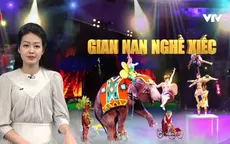 Gian nan nghề xiếc: Hào quang nào cũng phải đánh đổi